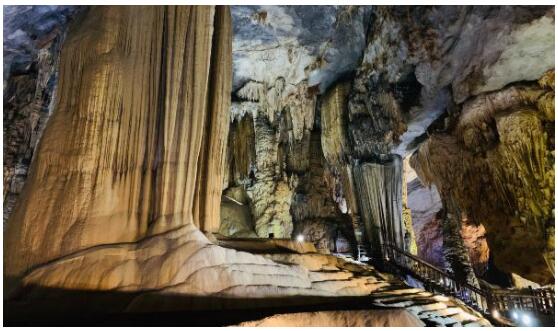 The Caves of Waitomo New Zealand