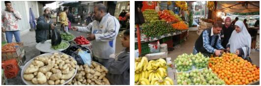 Palestine Market Entry