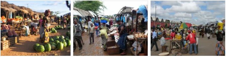 Zambia Market Entry