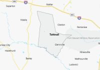 Map of Tattnall County Georgia